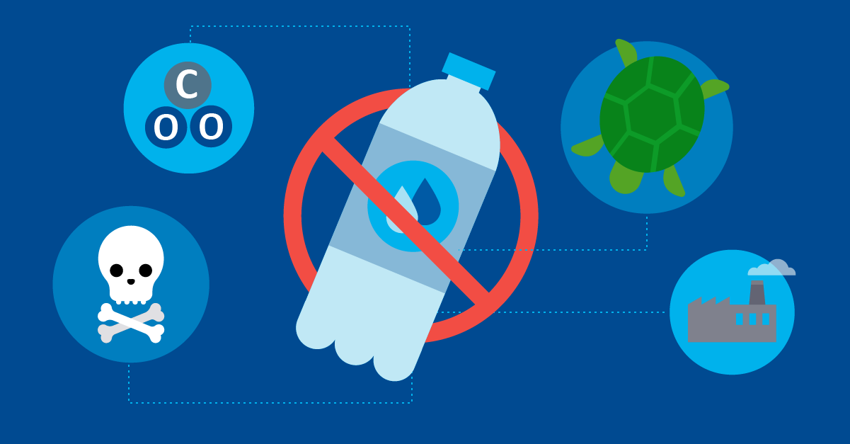 The Environmental Impact of Plastic Bottles